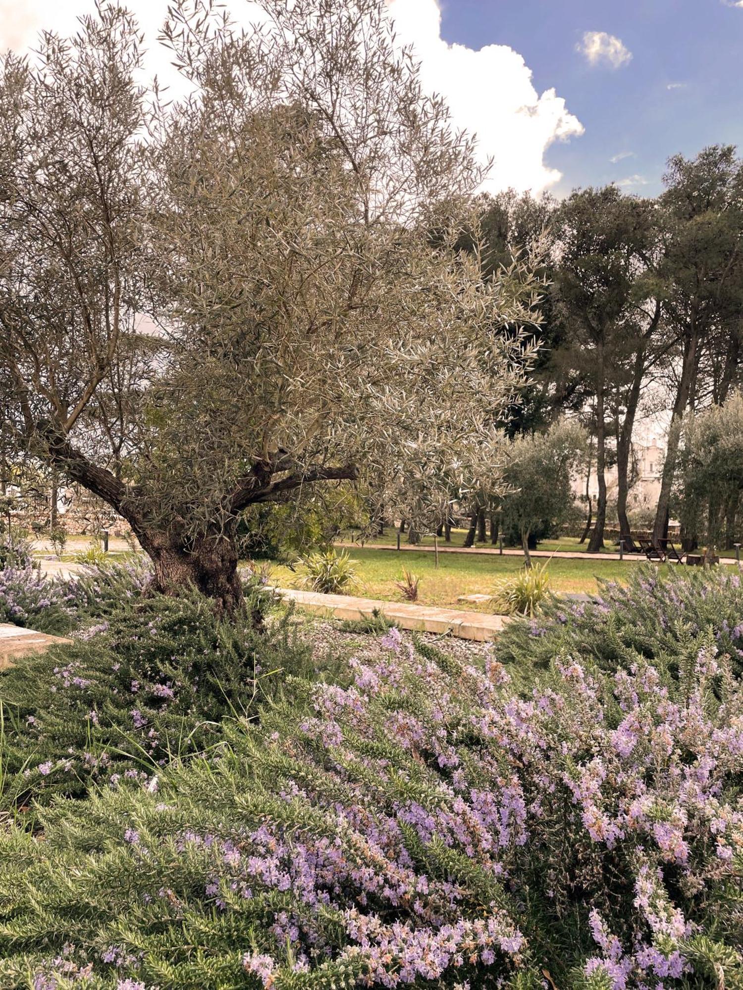 Trullo Panna Fragola - Exclusive Four Bedroom Villa & Private Pool Μαρτίνα Φράνκα Εξωτερικό φωτογραφία