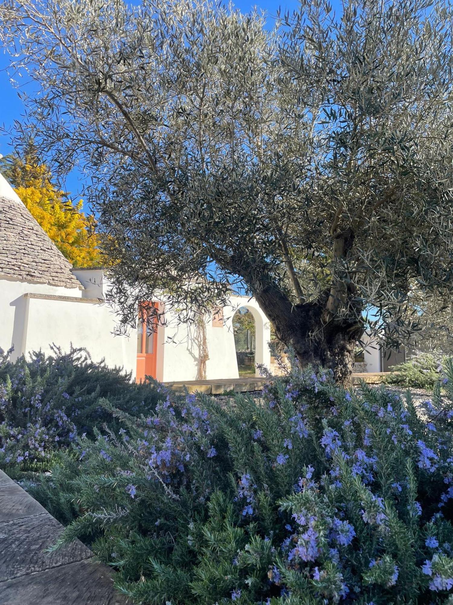 Trullo Panna Fragola - Exclusive Four Bedroom Villa & Private Pool Μαρτίνα Φράνκα Εξωτερικό φωτογραφία